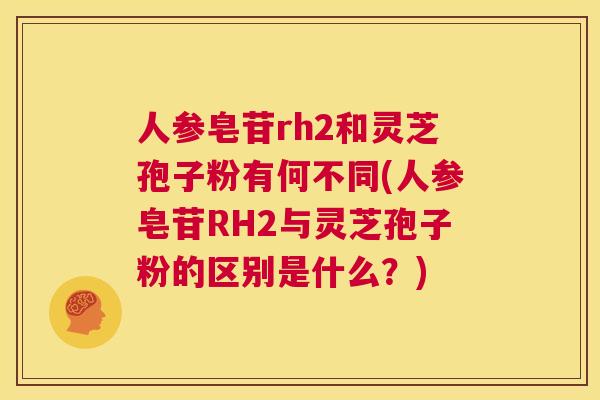 人参皂苷rh2和灵芝孢子粉有何不同(人参皂苷RH2与灵芝孢子粉的区别是什么?) 第1张 人参皂苷rh2和灵芝孢子粉有何不同(人参皂苷RH2与灵芝孢子粉的区别是什么?) 第1张