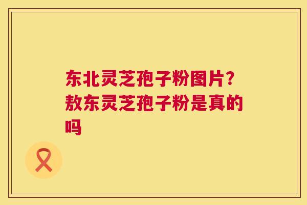 东北灵芝孢子粉图片?敖东灵芝孢子粉是真的吗 第1张 东北灵芝孢子粉图片?敖东灵芝孢子粉是真的吗 第1张