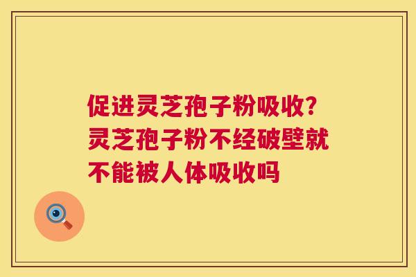 促进灵芝孢子粉吸收?灵芝孢子粉不经破壁就不能被人体吸收吗 第1张 促进灵芝孢子粉吸收?灵芝孢子粉不经破壁就不能被人体吸收吗 第1张