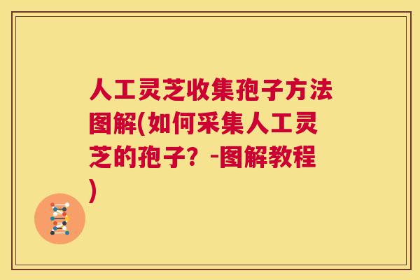 人工灵芝收集孢子方法图解(如何采集人工灵芝的孢子?-图解教程) 第1张 人工灵芝收集孢子方法图解(如何采集人工灵芝的孢子?-图解教程) 第1张