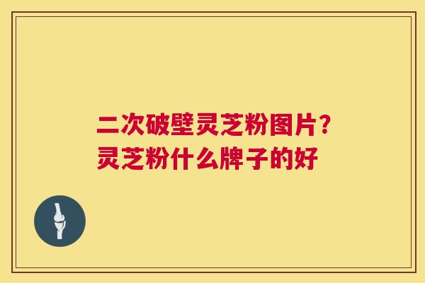 二次破壁灵芝粉图片?灵芝粉什么牌子的好 第1张 二次破壁灵芝粉图片?灵芝粉什么牌子的好 第1张