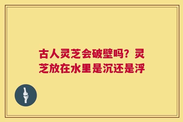古人灵芝会破壁吗?灵芝放在水里是沉还是浮 第1张 古人灵芝会破壁吗?灵芝放在水里是沉还是浮 第1张