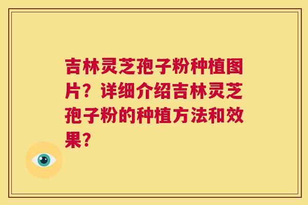 吉林灵芝孢子粉种植图片？详细介绍吉林灵芝孢子粉的种植方法和效果？  第1张