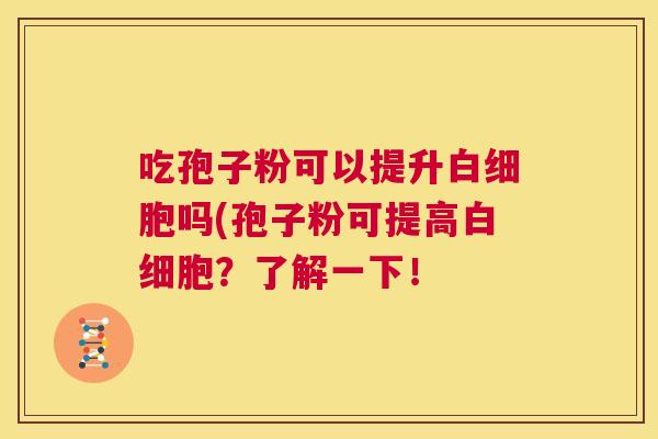 吃孢子粉可以提升白细胞吗(孢子粉可提高白细胞?了解一下! 第1张 吃孢子粉可以提升白细胞吗(孢子粉可提高白细胞?了解一下! 第1张
