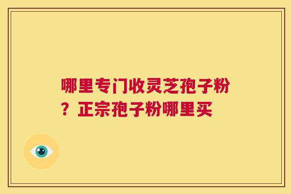 哪里专门收灵芝孢子粉?正宗孢子粉哪里买 第1张 哪里专门收灵芝孢子粉?正宗孢子粉哪里买 第1张
