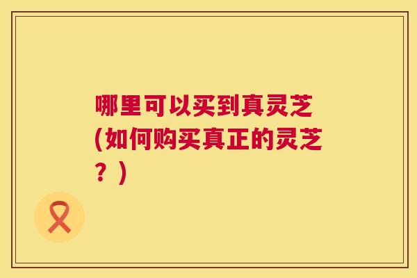 哪里可以买到真灵芝 (如何购买真正的灵芝?) 第1张 哪里可以买到真灵芝 (如何购买真正的灵芝?) 第1张