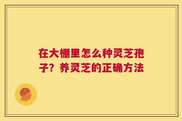 在大棚里怎么种灵芝孢子?养灵芝的正确方法 第1张 在大棚里怎么种灵芝孢子?养灵芝的正确方法 第1张