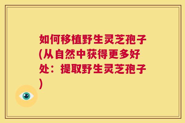 如何移植野生灵芝孢子(从自然中获得更多好处:提取野生灵芝孢子) 第1张 如何移植野生灵芝孢子(从自然中获得更多好处:提取野生灵芝孢子) 第1张