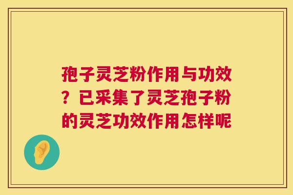 孢子灵芝粉作用与功效?已采集了灵芝孢子粉的灵芝功效作用怎样呢 第1张 孢子灵芝粉作用与功效?已采集了灵芝孢子粉的灵芝功效作用怎样呢 第1张