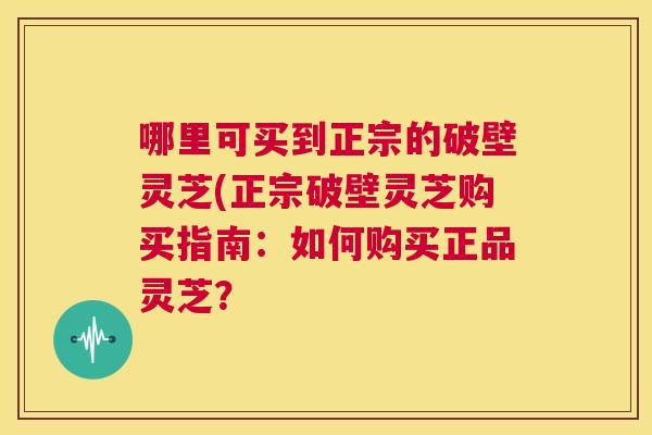 哪里可买到正宗的破壁灵芝(正宗破壁灵芝购买指南:如何购买正品灵芝? 第1张 哪里可买到正宗的破壁灵芝(正宗破壁灵芝购买指南:如何购买正品灵芝? 第1张