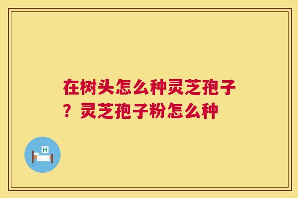 在树头怎么种灵芝孢子?灵芝孢子粉怎么种 第1张 在树头怎么种灵芝孢子?灵芝孢子粉怎么种 第1张