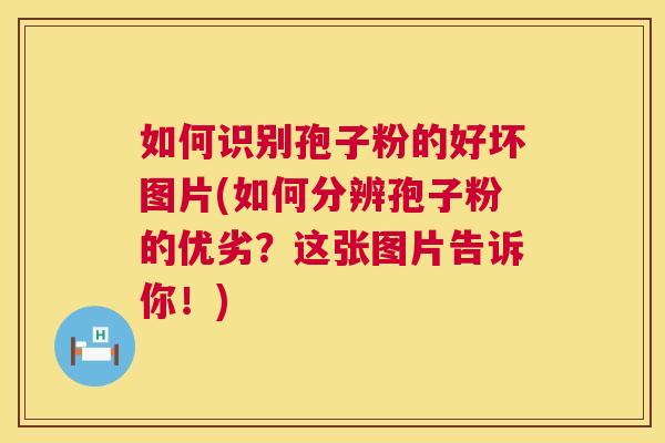 如何识别孢子粉的好坏图片(如何分辨孢子粉的优劣?这张图片告诉你!) 第1张 如何识别孢子粉的好坏图片(如何分辨孢子粉的优劣?这张图片告诉你!) 第1张
