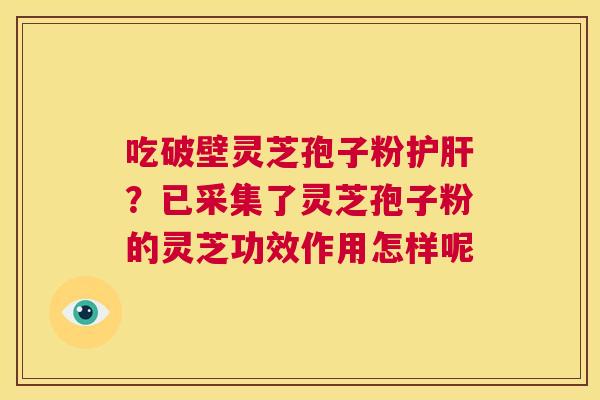 吃破壁灵芝孢子粉护肝?已采集了灵芝孢子粉的灵芝功效作用怎样呢 第1张 吃破壁灵芝孢子粉护肝?已采集了灵芝孢子粉的灵芝功效作用怎样呢 第1张