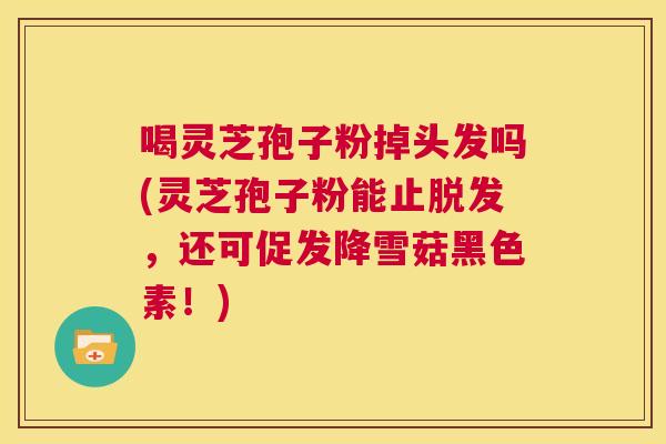 喝灵芝孢子粉掉头发吗(灵芝孢子粉能止脱发，还可促发降雪菇黑色素！)  第1张