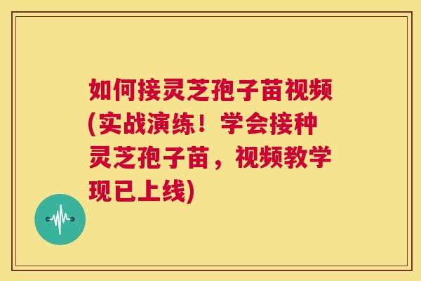 如何接灵芝孢子苗视频(实战演练!学会接种灵芝孢子苗,视频教学现已上线) 第1张 如何接灵芝孢子苗视频(实战演练!学会接种灵芝孢子苗,视频教学现已上线) 第1张