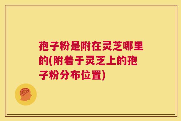 孢子粉是附在灵芝哪里的(附着于灵芝上的孢子粉分布位置) 第1张 孢子粉是附在灵芝哪里的(附着于灵芝上的孢子粉分布位置) 第1张