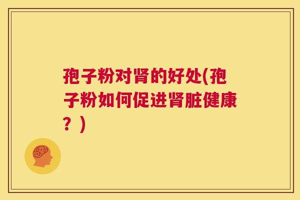 孢子粉对肾的好处(孢子粉如何促进肾脏健康?) 第1张 孢子粉对肾的好处(孢子粉如何促进肾脏健康?) 第1张