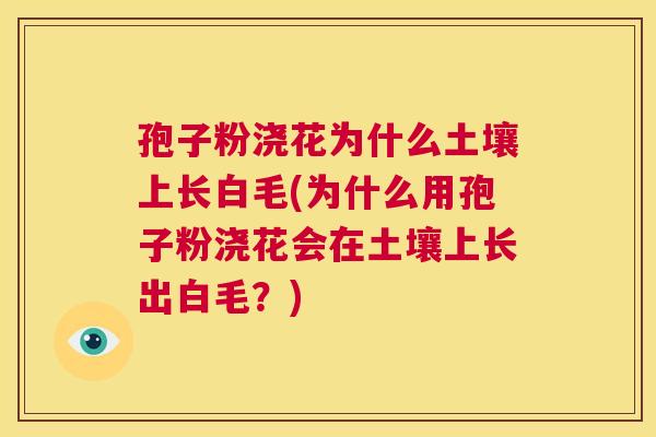 孢子粉浇花为什么土壤上长白毛(为什么用孢子粉浇花会在土壤上长出白毛?) 第1张 孢子粉浇花为什么土壤上长白毛(为什么用孢子粉浇花会在土壤上长出白毛?) 第1张