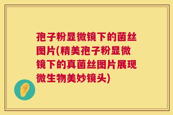 孢子粉显微镜下的菌丝图片(精美孢子粉显微镜下的真菌丝图片展现微生物美妙镜头) 第1张 孢子粉显微镜下的菌丝图片(精美孢子粉显微镜下的真菌丝图片展现微生物美妙镜头) 第1张