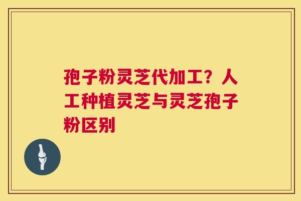 孢子粉灵芝代加工?人工种植灵芝与灵芝孢子粉区别 第1张 孢子粉灵芝代加工?人工种植灵芝与灵芝孢子粉区别 第1张