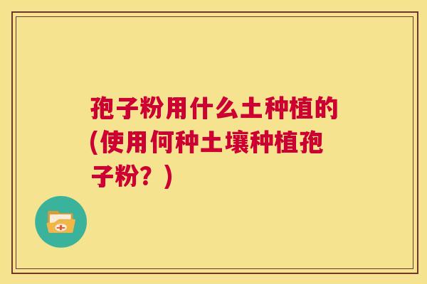 孢子粉用什么土种植的(使用何种土壤种植孢子粉?) 第1张 孢子粉用什么土种植的(使用何种土壤种植孢子粉?) 第1张