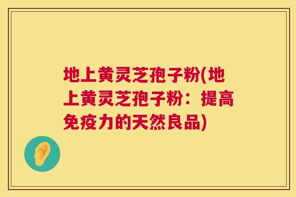 地上黄灵芝孢子粉(地上黄灵芝孢子粉:提高免疫力的天然良品) 第1张 地上黄灵芝孢子粉(地上黄灵芝孢子粉:提高免疫力的天然良品) 第1张