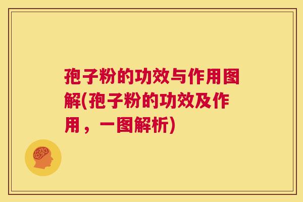 孢子粉的功效与作用图解(孢子粉的功效及作用，一图解析)  第1张
