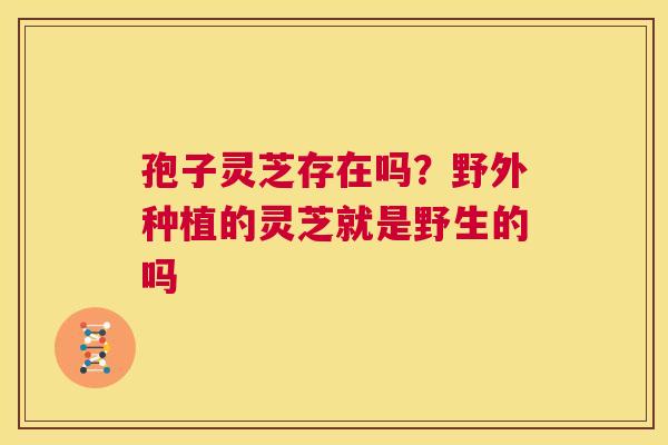 孢子灵芝存在吗?野外种植的灵芝就是野生的吗 第1张 孢子灵芝存在吗?野外种植的灵芝就是野生的吗 第1张