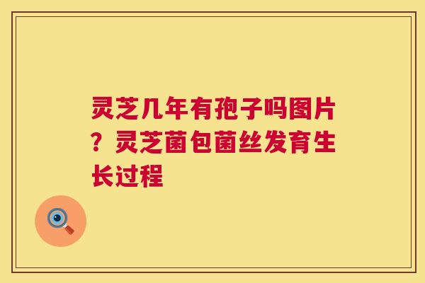 灵芝几年有孢子吗图片?灵芝菌包菌丝发育生长过程 第1张 灵芝几年有孢子吗图片?灵芝菌包菌丝发育生长过程 第1张
