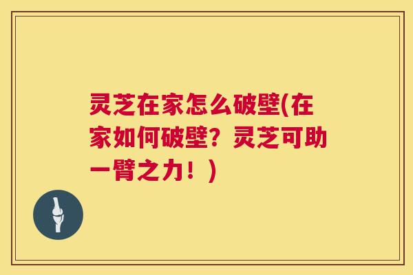灵芝在家怎么破壁(在家如何破壁?灵芝可助一臂之力!) 第1张 灵芝在家怎么破壁(在家如何破壁?灵芝可助一臂之力!) 第1张