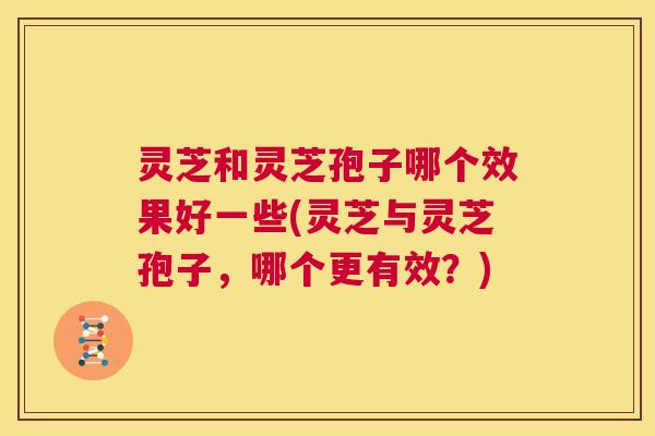 灵芝和灵芝孢子哪个效果好一些(灵芝与灵芝孢子,哪个更有效?) 第1张 灵芝和灵芝孢子哪个效果好一些(灵芝与灵芝孢子,哪个更有效?) 第1张