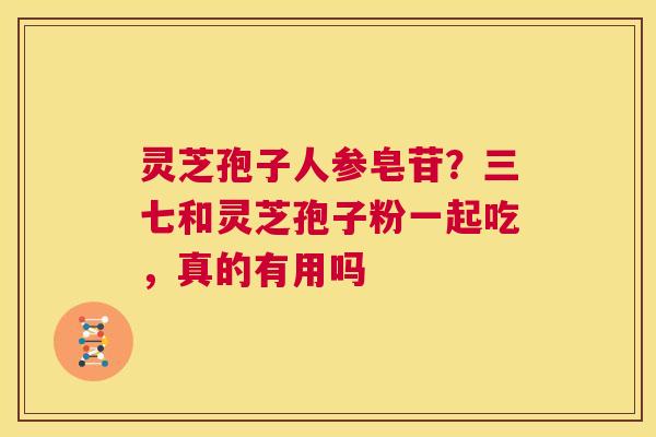 灵芝孢子人参皂苷?三七和灵芝孢子粉一起吃,真的有用吗 第1张 灵芝孢子人参皂苷?三七和灵芝孢子粉一起吃,真的有用吗 第1张