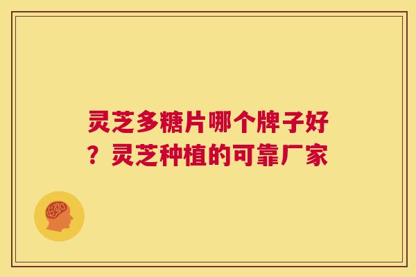 灵芝多糖片哪个牌子好?灵芝种植的可靠厂家 第1张 灵芝多糖片哪个牌子好?灵芝种植的可靠厂家 第1张