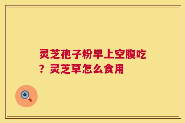 灵芝孢子粉早上空腹吃？灵芝草怎么食用  第1张