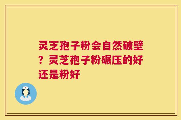 灵芝孢子粉会自然破壁?灵芝孢子粉碾压的好还是粉好 第1张 灵芝孢子粉会自然破壁?灵芝孢子粉碾压的好还是粉好 第1张