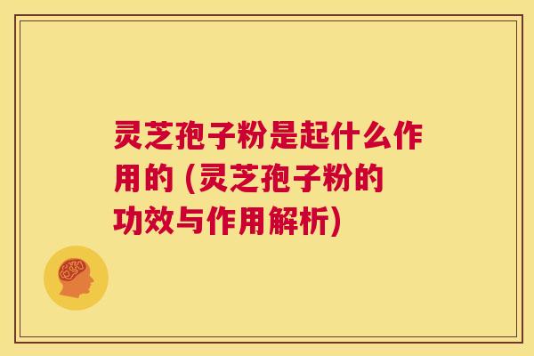 灵芝孢子粉是起什么作用的 (灵芝孢子粉的功效与作用解析)  第1张