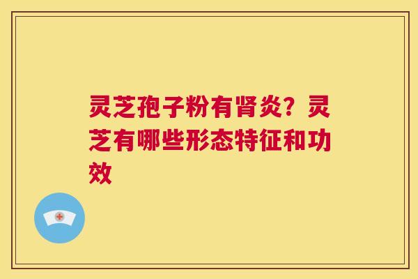 灵芝孢子粉有肾炎?灵芝有哪些形态特征和功效 第1张 灵芝孢子粉有肾炎?灵芝有哪些形态特征和功效 第1张