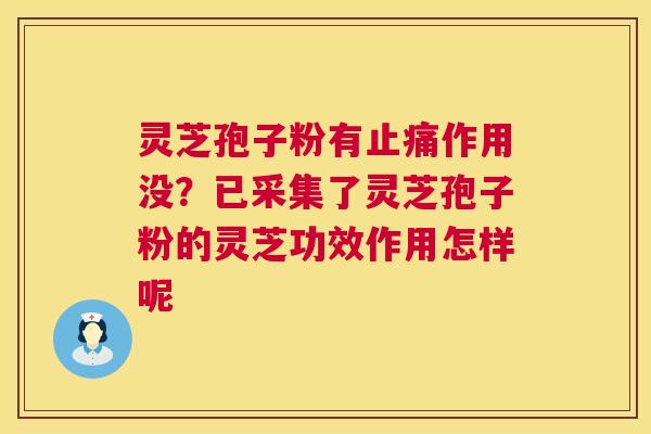 灵芝孢子粉有止痛作用没?已采集了灵芝孢子粉的灵芝功效作用怎样呢 第1张 灵芝孢子粉有止痛作用没?已采集了灵芝孢子粉的灵芝功效作用怎样呢 第1张