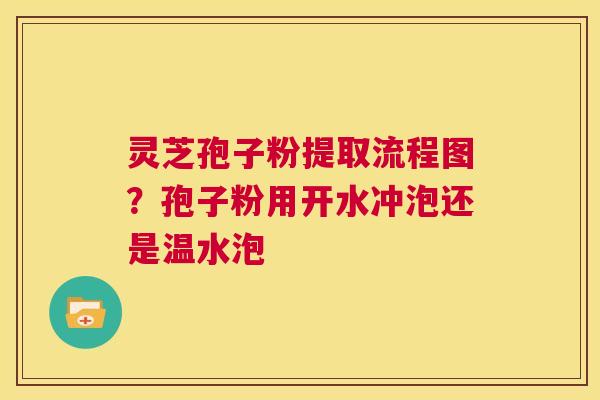 灵芝孢子粉提取流程图?孢子粉用开水冲泡还是温水泡 第1张 灵芝孢子粉提取流程图?孢子粉用开水冲泡还是温水泡 第1张
