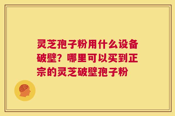 灵芝孢子粉用什么设备破壁？哪里可以买到正宗的灵芝破壁孢子粉  第1张