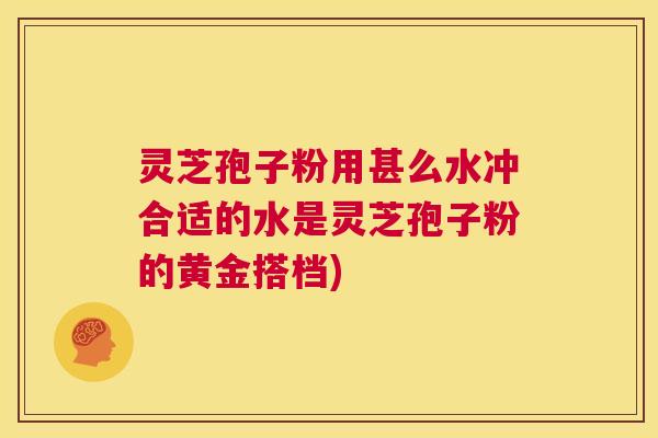 灵芝孢子粉用甚么水冲合适的水是灵芝孢子粉的黄金搭档) 第1张 灵芝孢子粉用甚么水冲合适的水是灵芝孢子粉的黄金搭档) 第1张