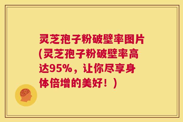 灵芝孢子粉破壁率图片(灵芝孢子粉破壁率高达95%,让你尽享身体倍增的美好!) 第1张 灵芝孢子粉破壁率图片(灵芝孢子粉破壁率高达95%,让你尽享身体倍增的美好!) 第1张