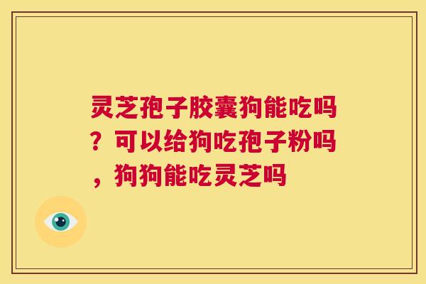 灵芝孢子胶囊狗能吃吗?可以给狗吃孢子粉吗,狗狗能吃灵芝吗 第1张 灵芝孢子胶囊狗能吃吗?可以给狗吃孢子粉吗,狗狗能吃灵芝吗 第1张