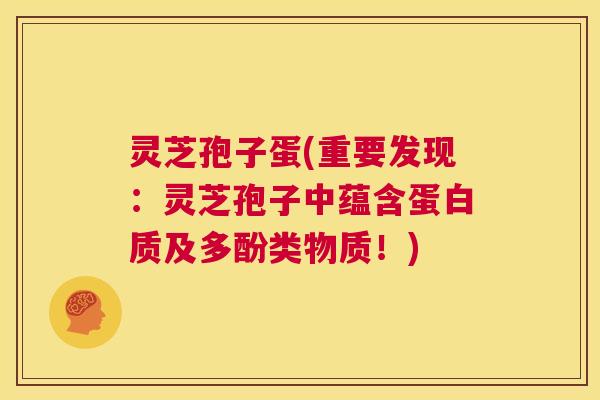 灵芝孢子蛋(重要发现：灵芝孢子中蕴含蛋白质及多酚类物质！)  第1张