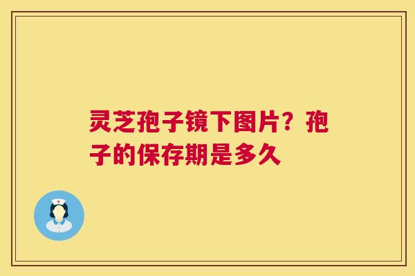 灵芝孢子镜下图片？孢子的保存期是多久  第1张