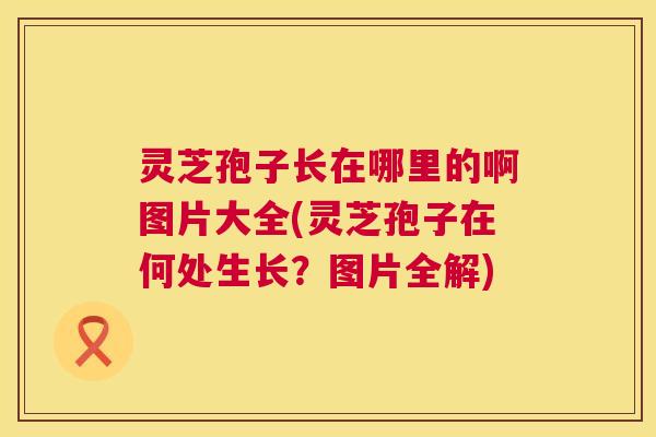 灵芝孢子长在哪里的啊图片大全(灵芝孢子在何处生长？图片全解)  第1张