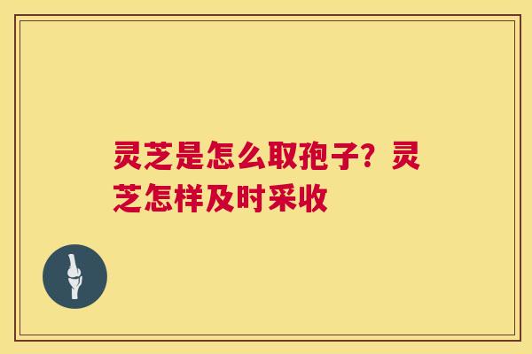 灵芝是怎么取孢子?灵芝怎样及时采收 第1张 灵芝是怎么取孢子?灵芝怎样及时采收 第1张