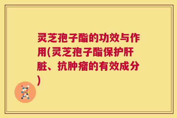 灵芝孢子酯的功效与作用(灵芝孢子酯保护肝脏、抗肿瘤的有效成分)  第1张