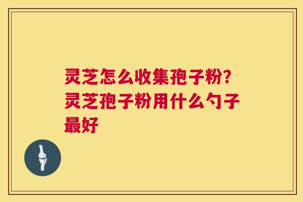 灵芝怎么收集孢子粉?灵芝孢子粉用什么勺子最好 第1张 灵芝怎么收集孢子粉?灵芝孢子粉用什么勺子最好 第1张