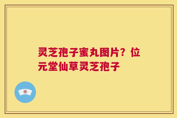灵芝孢子蜜丸图片?位元堂仙草灵芝孢子 第1张 灵芝孢子蜜丸图片?位元堂仙草灵芝孢子 第1张